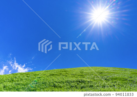 靜岡縣伊東市大室山夏櫻村 94011833