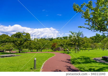 Omuroyama, Ito City, Shizuoka Prefecture Summer Sakura Village Omuroyama, Ito City, Shizuoka Prefecture Summer Sakura Village 94011840