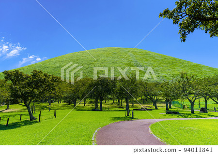 Omuroyama, Ito City, Shizuoka Prefecture Summer Sakura Village 94011841