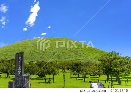 Omuroyama, Ito City, Shizuoka Prefecture Summer Sakura Village 94011846