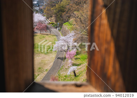 Scenery seen from Gun Hazama [Ueda Castle Ruins Park in spring] 94012019