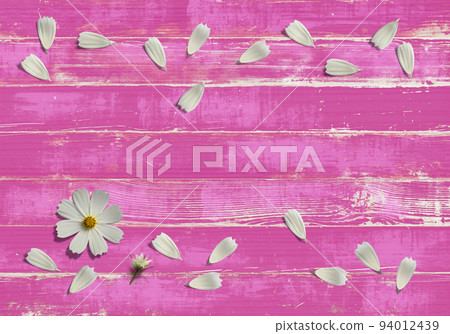 Cosmos pink vintage wood and white autumn cherry blossom petals Cosmos pink vintage wood and white autumn cherry blossom petals 94012439