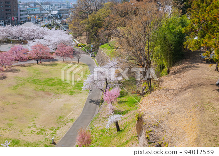 [Streetscape of Tenjin, Ueda City] Scenery from Minami Yagura [Ueda Castle Ruins Park in Spring] 94012539