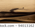 Beautiful desert at sunrise on mountain landscape background. 94013162