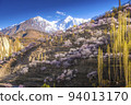 Colorful cherry blossoms blooming in spring on beautiful mountain background. 94013170