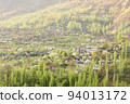 Colorful cherry blossoms blooming in spring on beautiful mountain background. 94013172