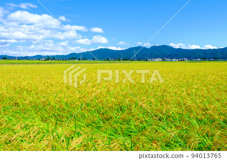 Autumn countryside 94013765