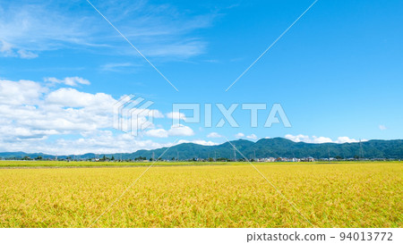 Autumn countryside 94013772