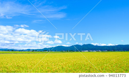 Autumn countryside 94013773