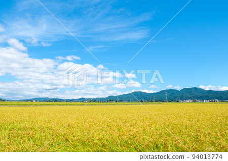 Autumn countryside 94013774