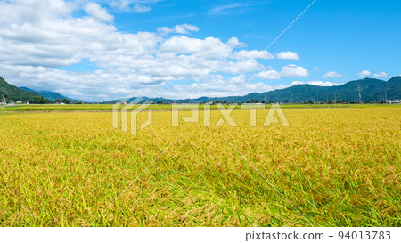 Autumn countryside 94013783