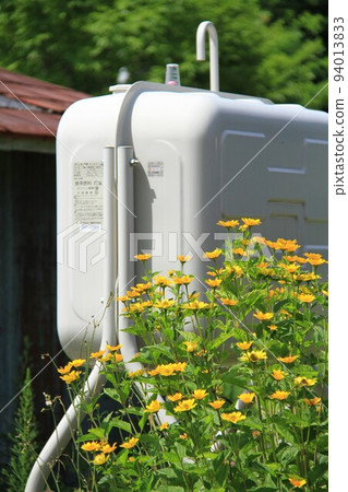 鮮花和綠色植物中的煤油家庭罐 鮮花和綠色植物中的煤油家庭罐 94013833