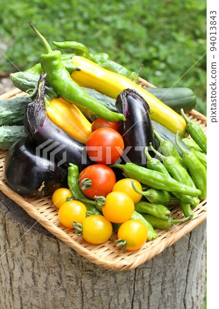 Freshly harvested green and yellow vegetables in a colander, kitchen garden 94013843