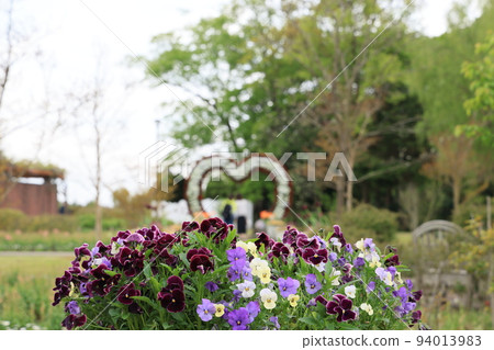 船橋安徒生公園花壇風光 船橋安徒生公園花壇風光 94013983