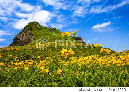 [Niigata Prefecture/Sado] Flower Island Ohnogame May-June 94014513