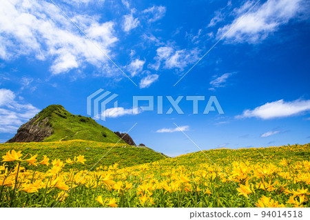 [Niigata Prefecture/Sado] Flower Island Ohnogame May-June 94014518