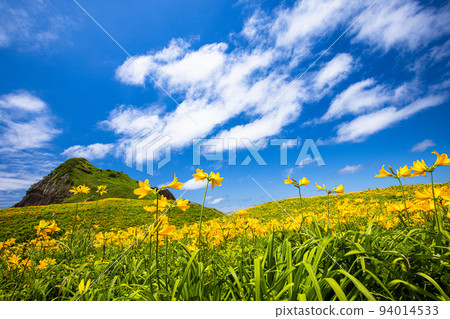 [Niigata Prefecture/Sado] Flower Island Ohnogame May-June 94014533