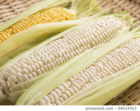 Corn white and yellow Corn white and yellow 94014563