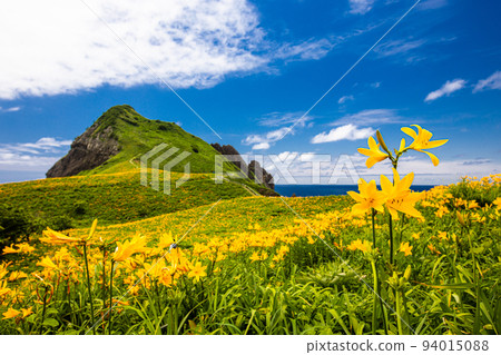 [新潟縣/佐渡] 花島佐渡大野龜 5 月 6 月 94015088