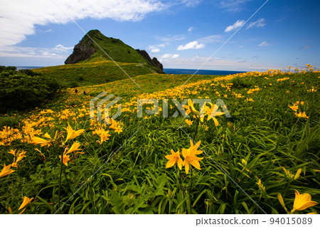 [Niigata Prefecture/Sado] Flower Island Sado Ohnogame May June 94015089