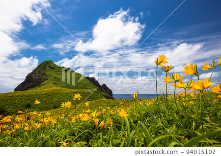 [Niigata Prefecture/Sado] Flower Island Sado Ohnogame May June 94015102
