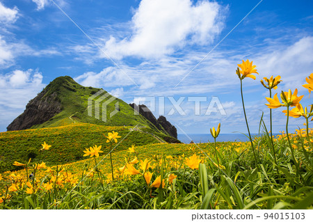 [Niigata Prefecture/Sado] Flower Island Sado Ohnogame May June 94015103
