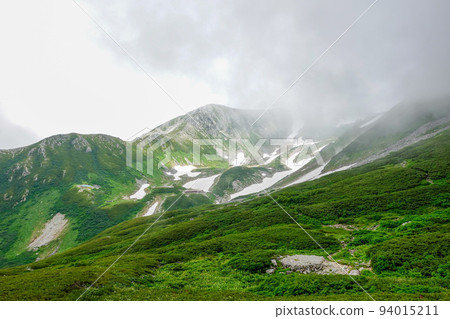 鶴木山的花和風景，北阿爾卑斯山的立山 鶴木山 94015211