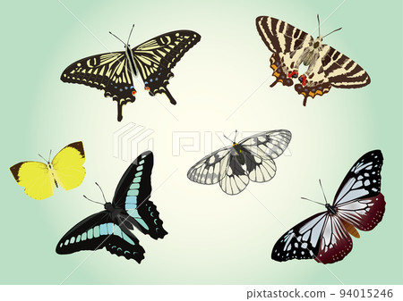 蝴蝶飛行 蝴蝶飛行 94015246