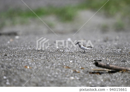 本年 本年 94015661