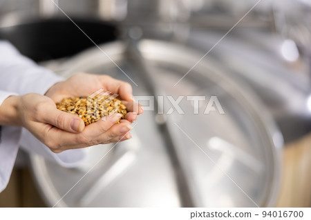 Hands of female brewer holding handful of malted grain 94016700