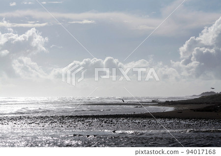 sea and beach in newzealand 94017168
