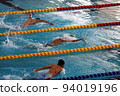 swimming butterfly 94019196