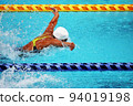 swimming butterfly 94019198