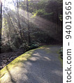 Sunshine 94019565