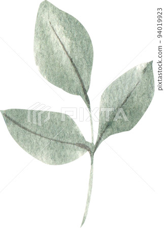 Cozy chic wedding icon watercolor png 94019923