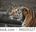 tiger 94020327