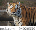 tiger 94020330