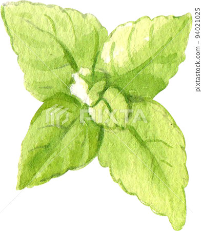 Sundae Ice cream day and decor icon watercolor png 94021025