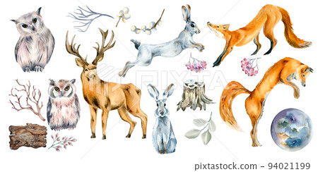 Set of wild animals and forest plants watercolor illustration isolated on white. 94021199