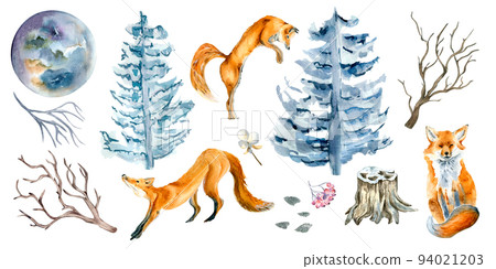 Set of fox, spruce, fir and moon watercolor illustration isolated on white background. 94021203