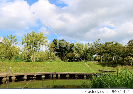 在清新的天空下漫步公園 綠意縈繞的秋景 古賀 94021465