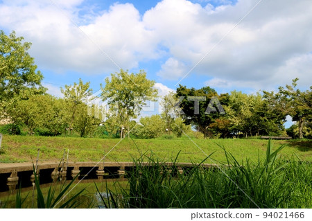 在清新的天空下漫步公園 綠意縈繞的秋景 古賀 在清新的天空下漫步公園 綠意縈繞的秋景 古賀 94021466