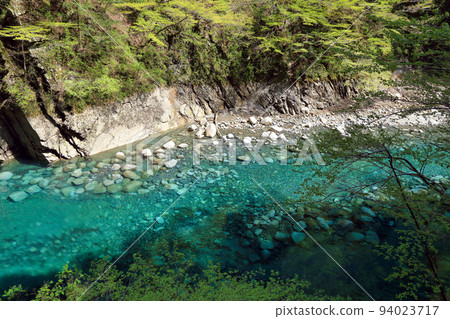 Yushin Valley 的 Yushin Blue(黑倉大壩 2017 年 4 月,神奈川縣山北町) Yushin Valley 的 Yushin Blue(黑倉大壩 2017 年 4 月,神奈川縣山北町) 94023717