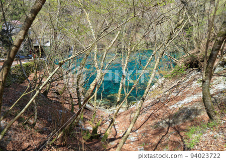 Yushin Valley的Yushin Blue(Kumaki Dam 2017年4月,神奈川縣山北町) Yushin Valley的Yushin Blue(Kumaki Dam 2017年4月,神奈川縣山北町) 94023722
