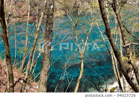 Yushin Valley的Yushin Blue（Kumaki Dam 2017年4月，神奈川縣山北町） 94023726