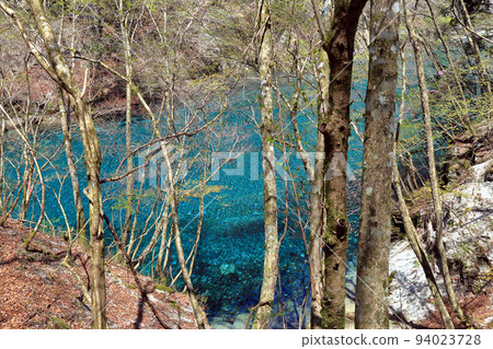 Yushin Valley的Yushin Blue(Kumaki Dam 2017年4月,神奈川縣山北町) Yushin Valley的Yushin Blue(Kumaki Dam 2017年4月,神奈川縣山北町) 94023728
