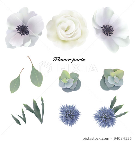 花卉和葉子植物的插圖零件材料 94024135