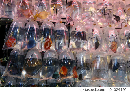 Goldfish and tropical fish sold with oxygen in a plastic bag in Hong Kong's Tsunagai (Goldfish Street) 94024191