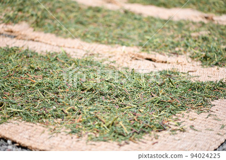 Sun-dried Kishimame 94024225