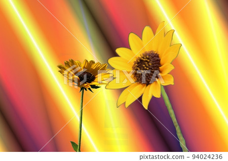 夏日鮮花盛開！兩次 94024236